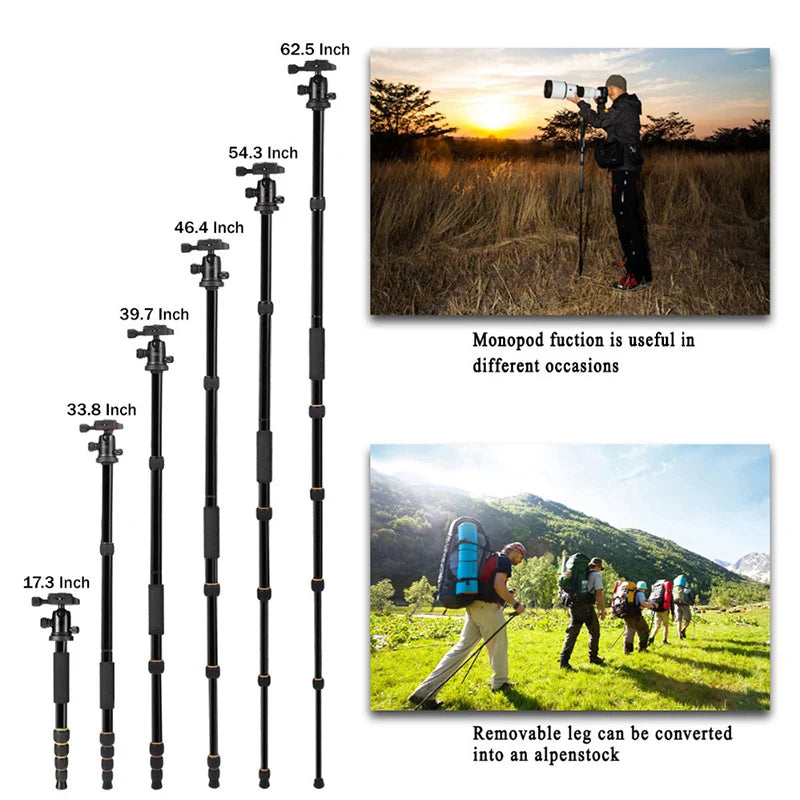 Q666 Professional Camera Tripod Phone Stand Tripod Protable Travel Camera Monopod for DSLR Smartphone Video Live Broadcast